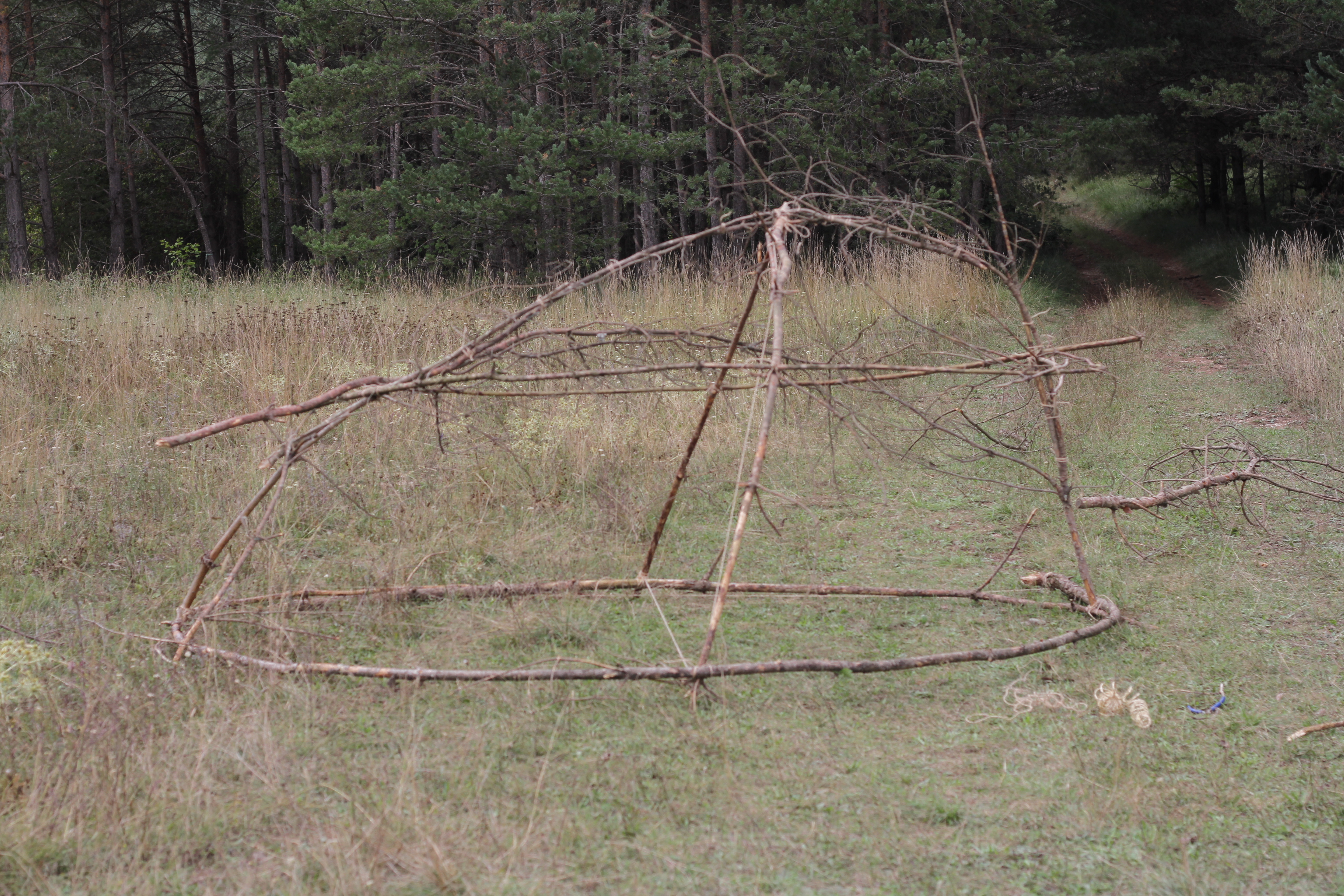 Festival LandLight 2021 - Instalación de luz en naturaleza