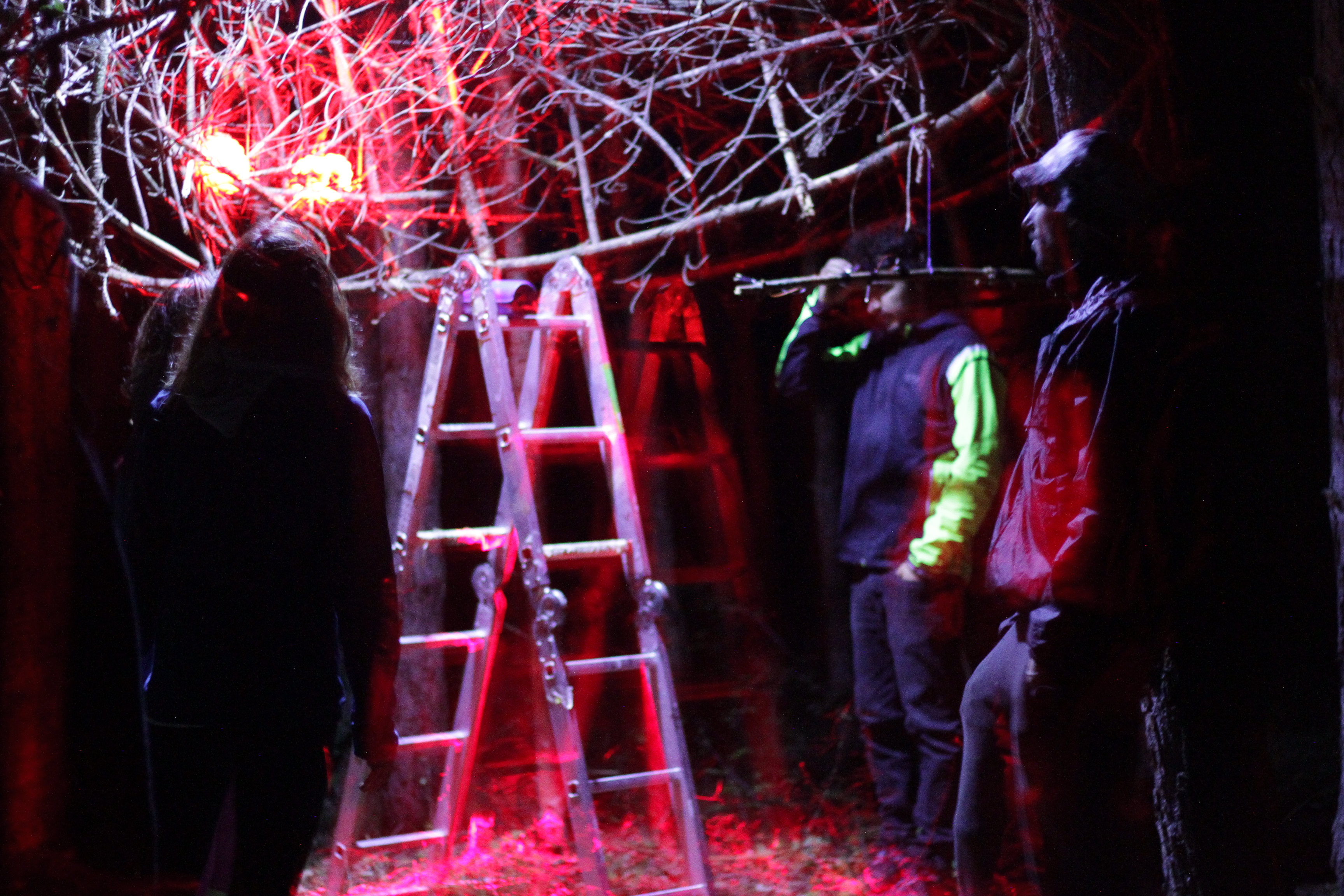 Muestra nocturna LandLight 2021 - Instalaciones efímeras iluminadas