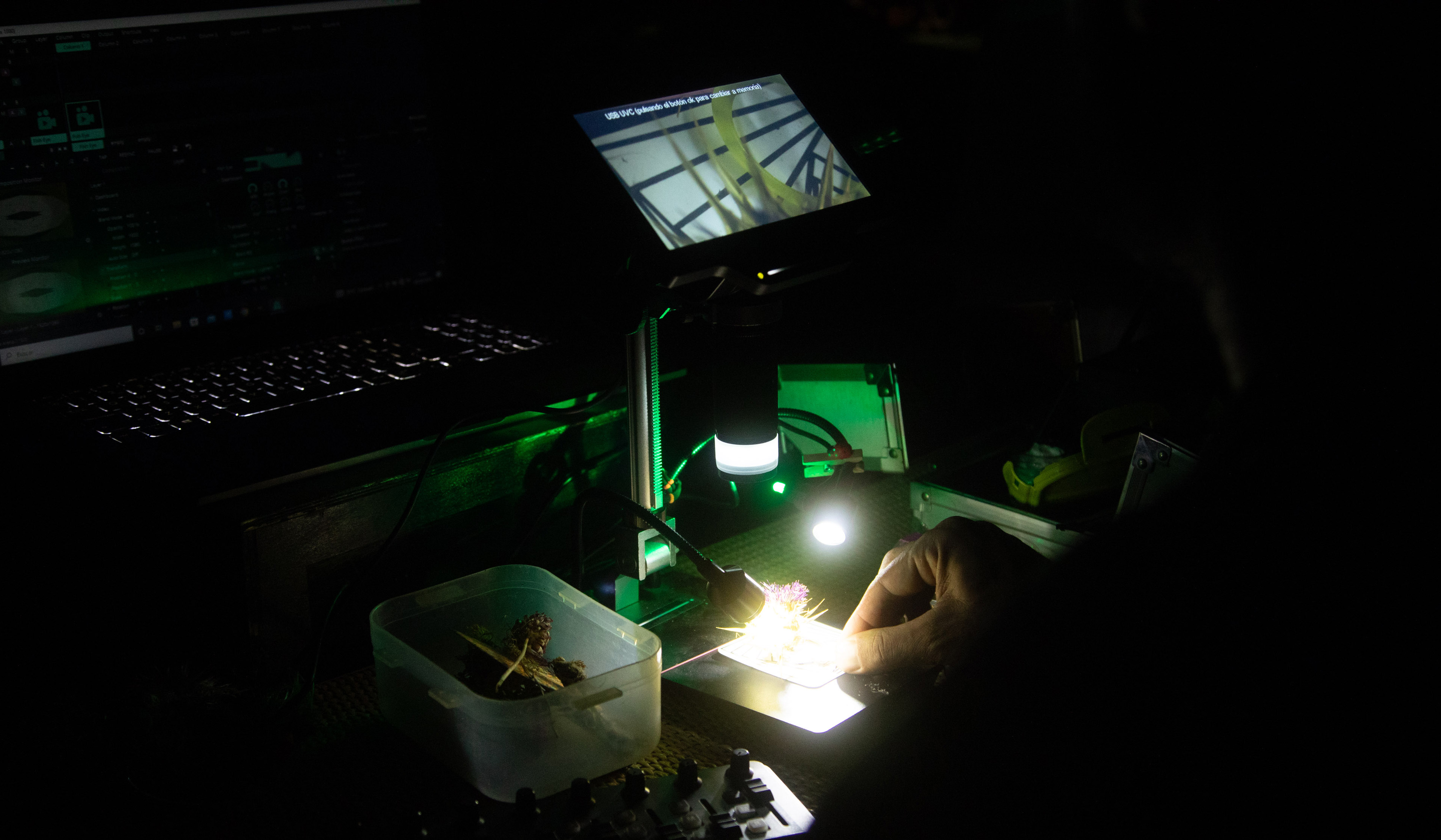 Laboratorio colectivo LandLight 2024 - Creación en comunidad