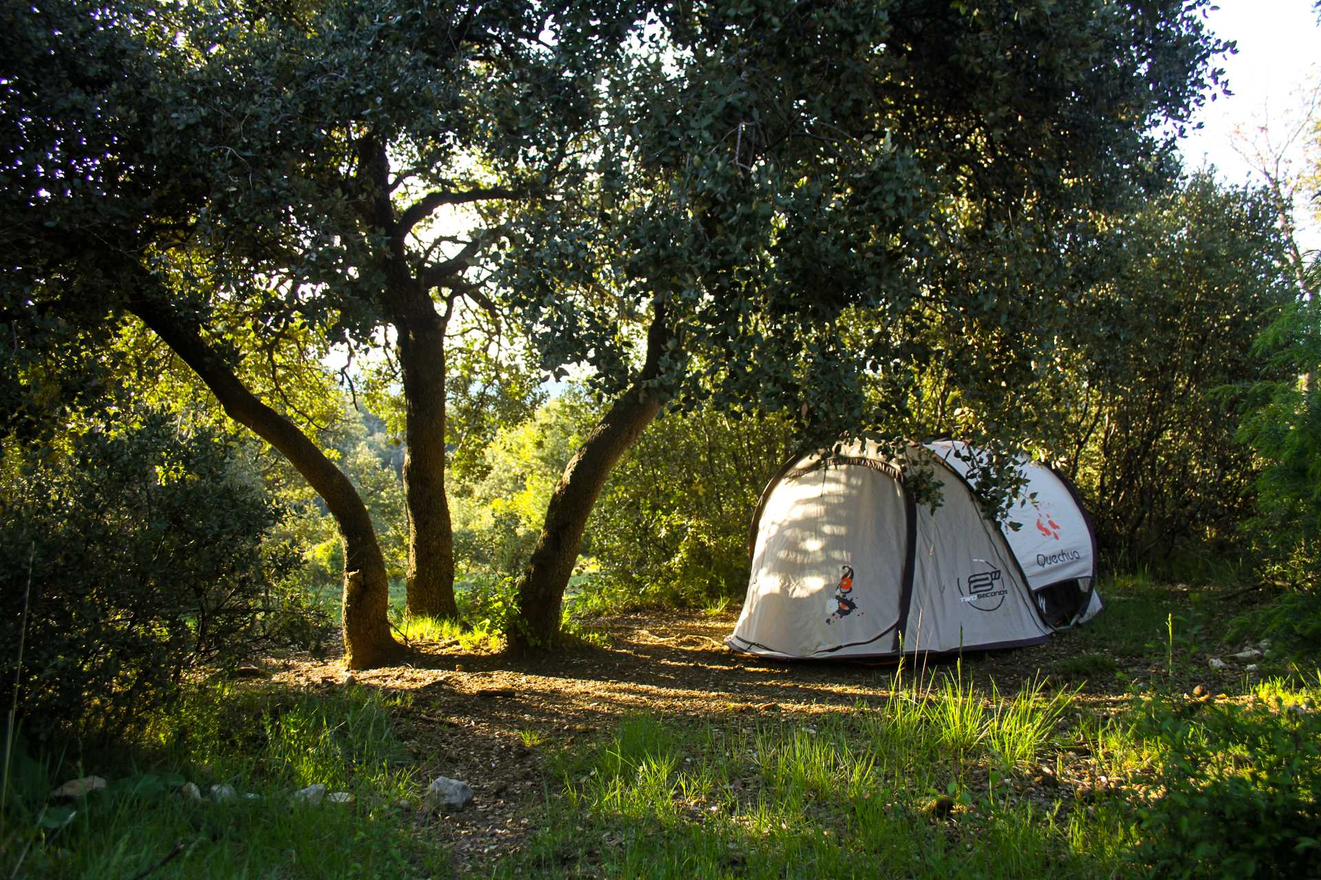 Acampada