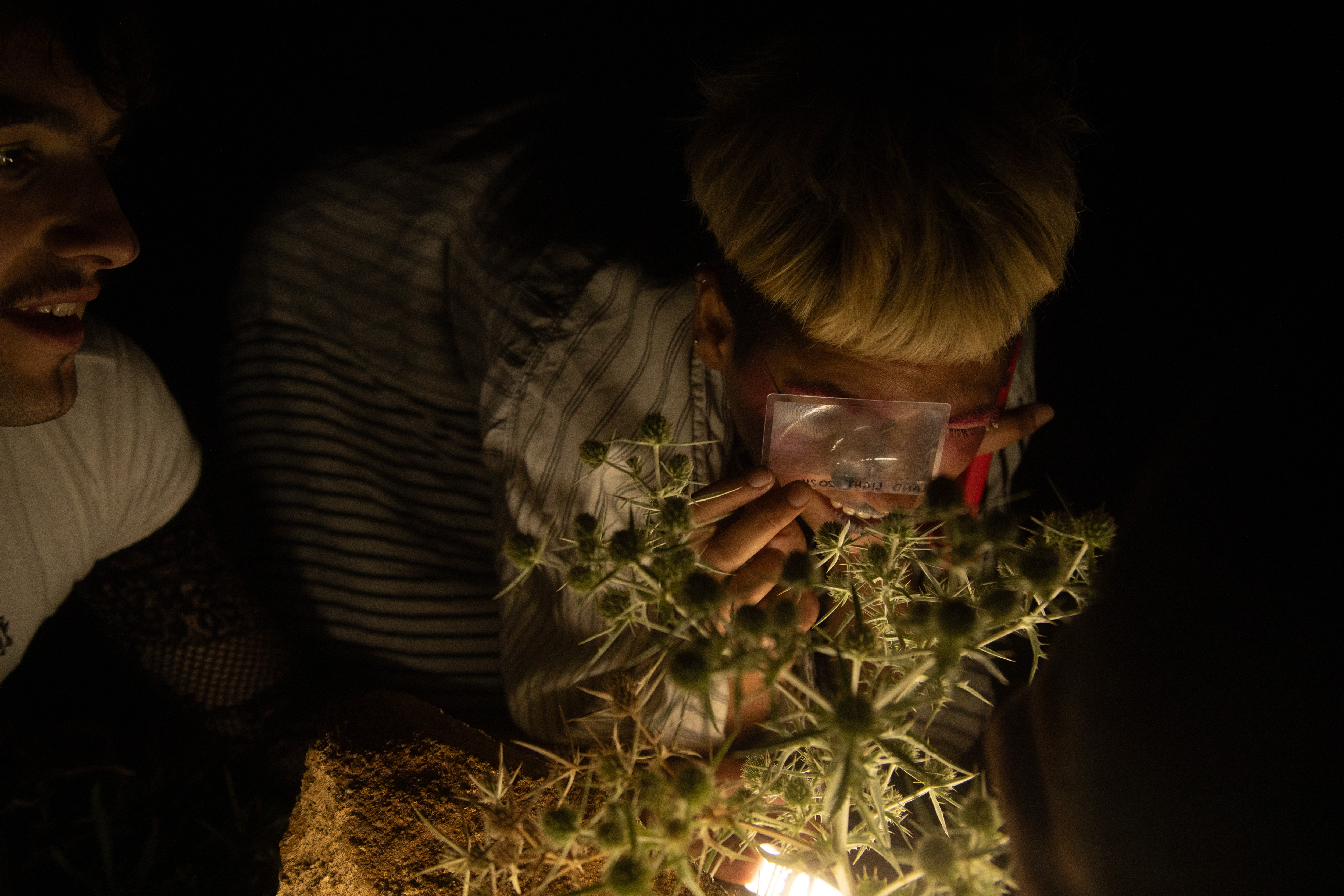 Instalación de luz y arte en el entorno natural de LandLight