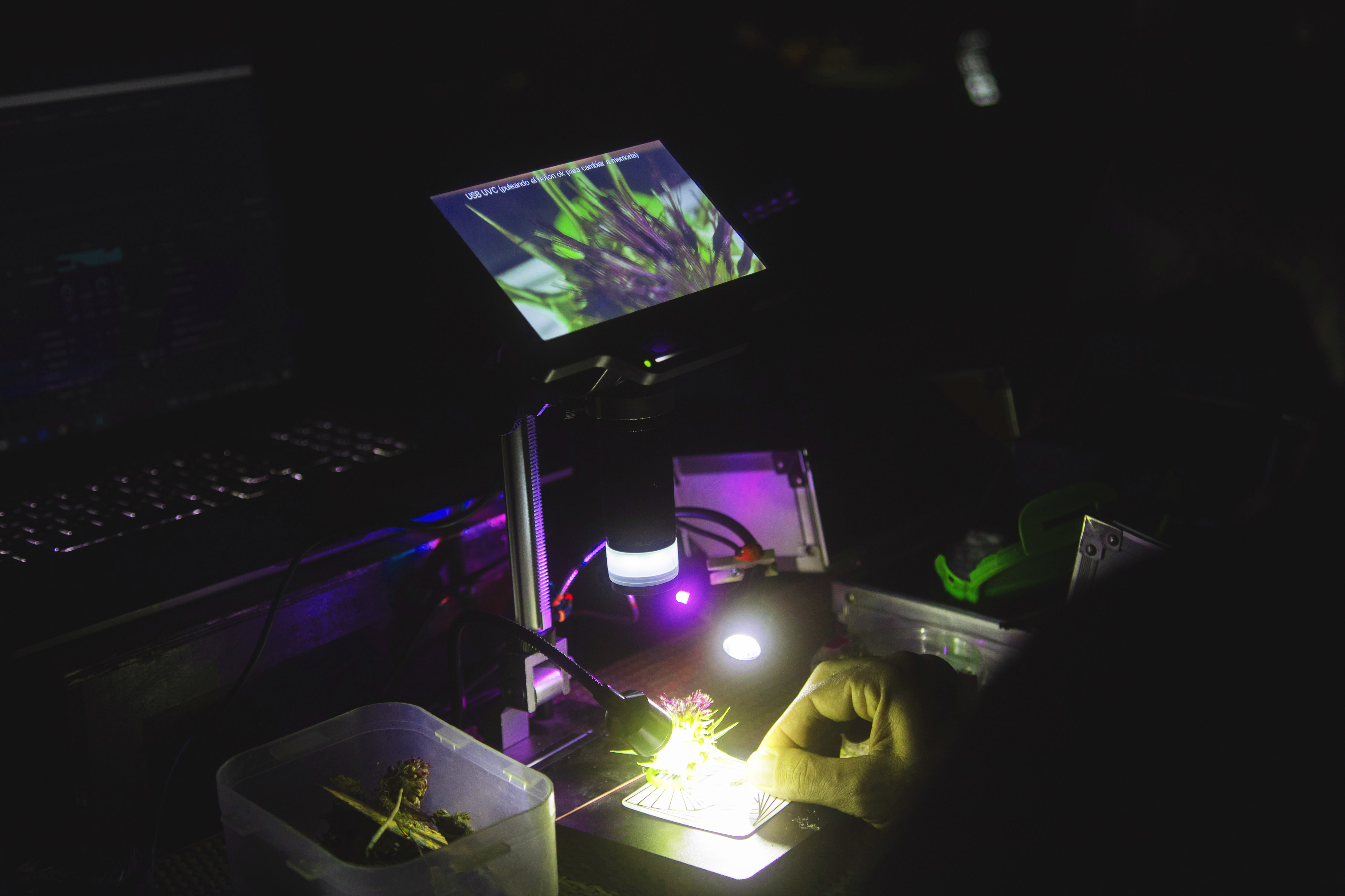 Muestra nocturna de instalaciones de luz en LandLight